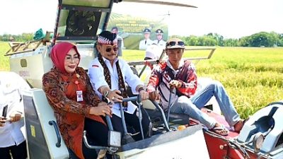 Menteri Pertanian SYL Pastikan Kondisi Beras Melimpah