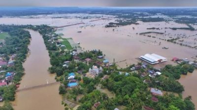 Duka Petani Maros, Setelah Serangan Pipit Kini Giliran Banjir