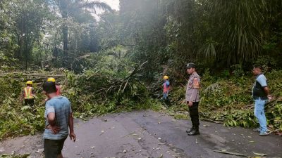 Hutan Karaengta Akan Kehilangan 1000 Pohon!