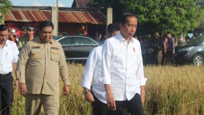 Setelah Dikritik Jokowi, Chaidir Syam Langsung Rencanakan Tanam Pohon di Bantimurung