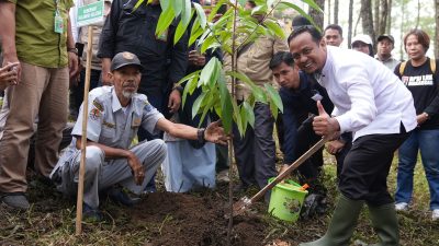 Kembalikan Fungsi Hutan, Andi Sudirman Ajak Siswa Tanam Sejuta Pohon