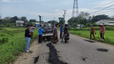 Kompak, Pemdes Temmapaduae Bersama Warga Tambal Jalan Berlubang