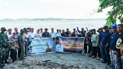 DKP Provinsi Sulsel Tanam 36 Ribu Bibit Mangrove di Pinrang