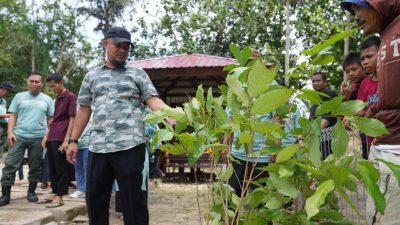 Andi Sudirman Ajak Masyarakat Sulsel Tanam Pohon, Ini Warisan Untuk Anak Cucu Kita