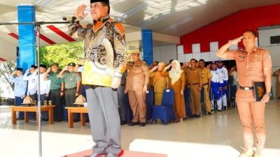 Nurdin Halid Pimpin Upacara HUT Koperasi ke-76 di Maros