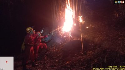 Si Jago Merah Lahap Kawasan Hutan di Pangkep