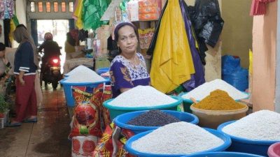 Harga Beras Melonjak Tinggi di Maros, Imbas Gagal Panen?