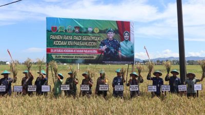 DPRD Maros Hadiri Agenda Panen Raya, Guna Mendukung Ketahanan Pangan Nasional