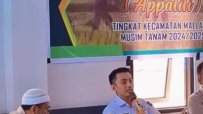 Tudang Sipulung Appalili Di Kec.Mallawa, Anggtoa DPRD Komisi 3 Dedy Aryan Turut Hadir.
