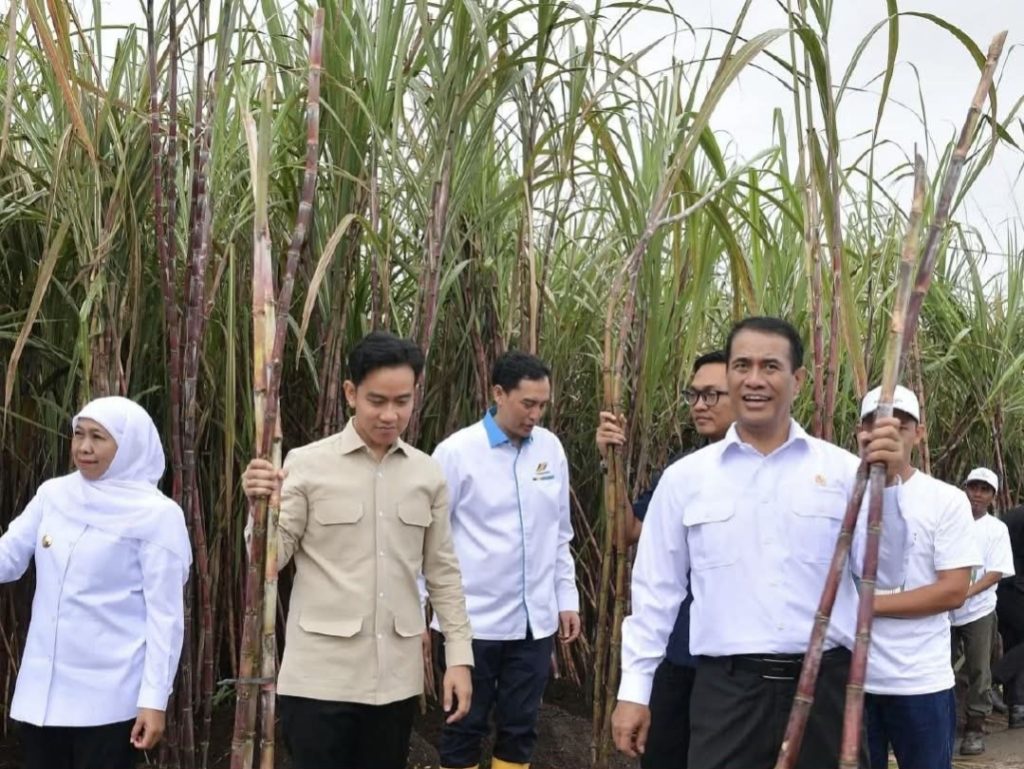 Pemerintah Jamin Dukungan Penuh untuk Petani Tebu demi Swasembada Gula Nasional
