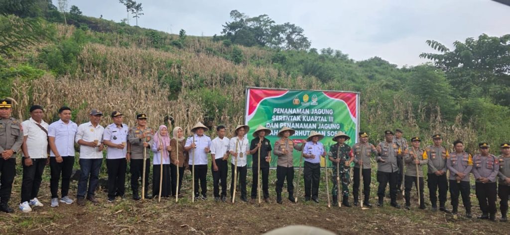 Genjot Polri Ketahanan Pangan Nasional: Penanaman Jagung Serentak Dimulai, Maros Turut Berpartisipasi